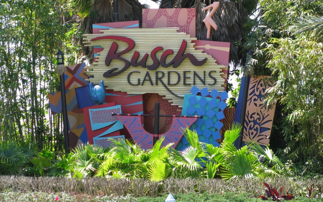 Why the University of South Florida Area Is Perfect for Short-Term and Mid-Stay Rentals