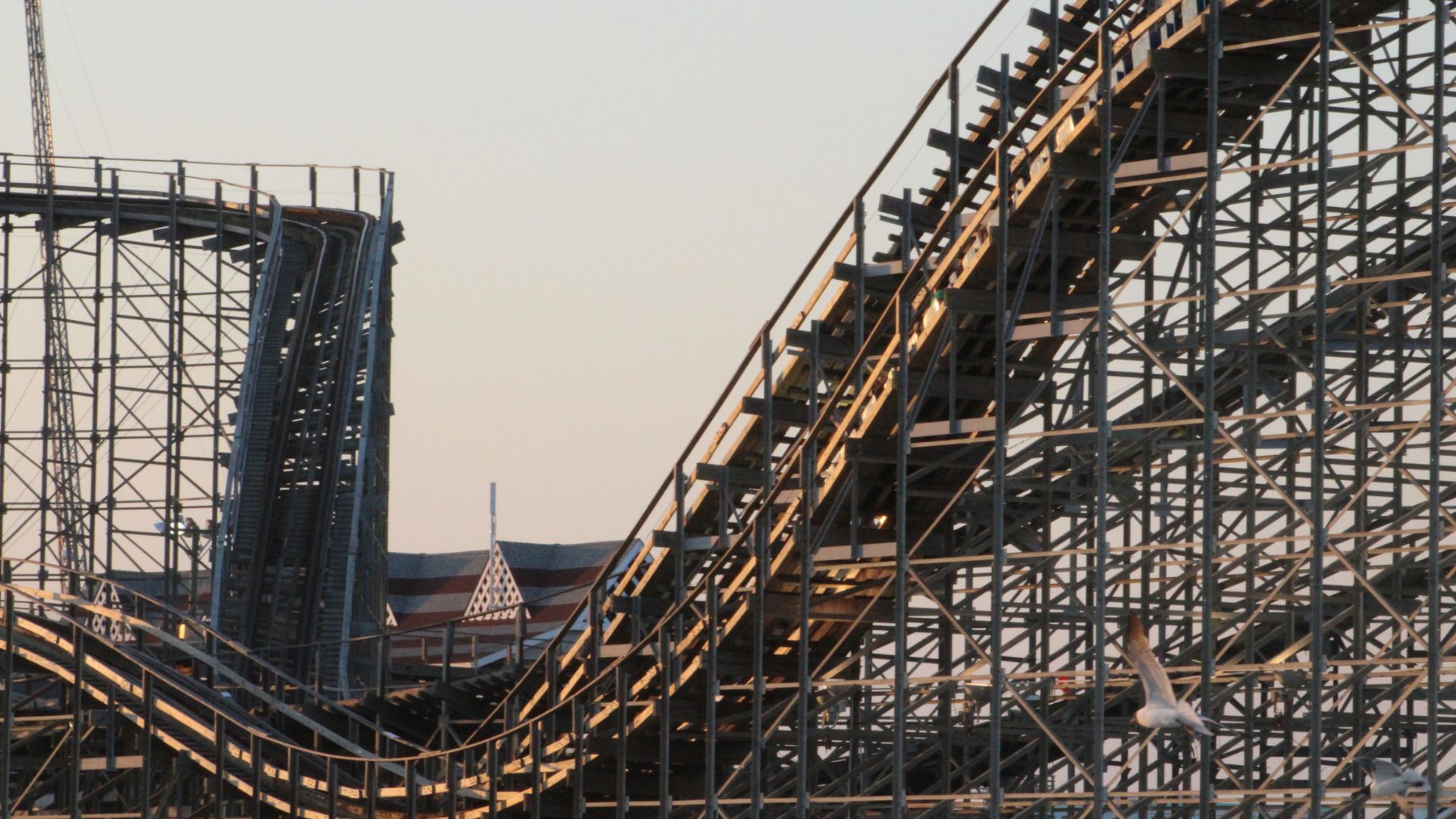 Roller coaster track at Busch Gardens Tampa Bay, a top attraction near the University of South Florida.